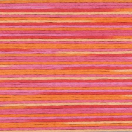 5003 Cosmo Seasons Variegated Cotton Embroidery Floss