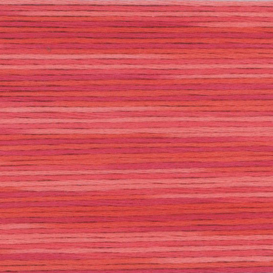 5004 Cosmo Seasons Variegated Cotton Embroidery Floss