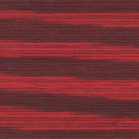 5006 Cosmo Seasons Variegated Cotton Embroidery Floss