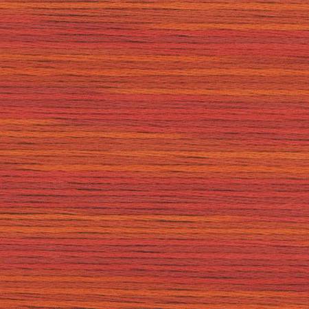 5007 Cosmo Seasons Variegated Cotton Embroidery Floss