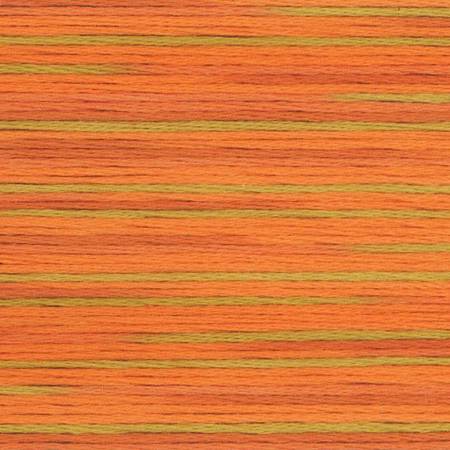 5008 Cosmo Seasons Variegated Cotton Embroidery Floss