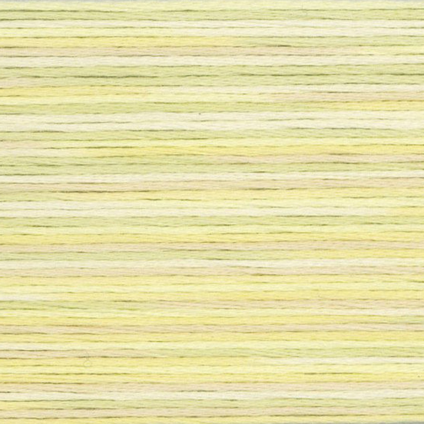 5010 Cosmo Seasons Variegated Cotton Embroidery Floss