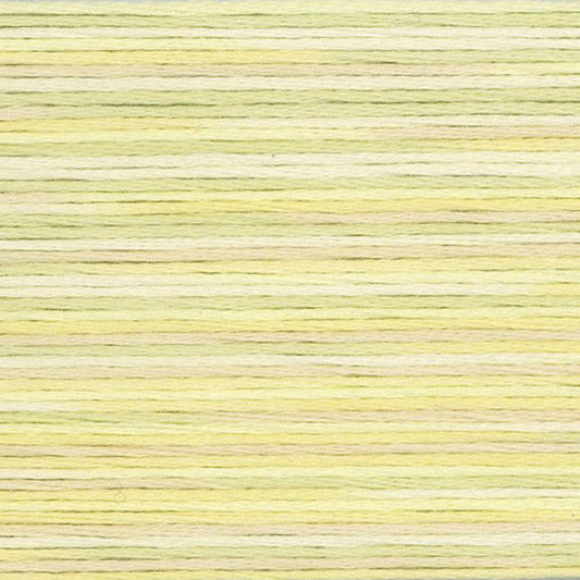 5010 Cosmo Seasons Variegated Cotton Embroidery Floss