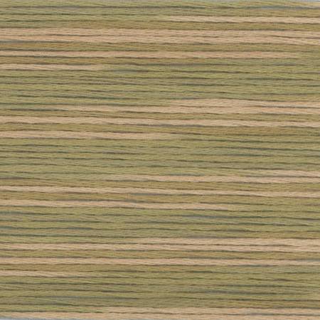 5011 Cosmo Seasons Variegated Cotton Embroidery Floss