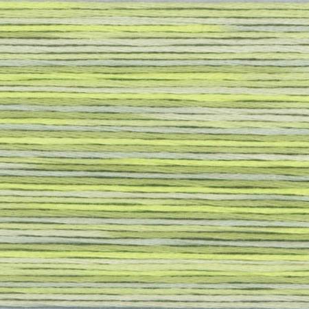 5013 Cosmo Seasons Variegated Cotton Embroidery Floss