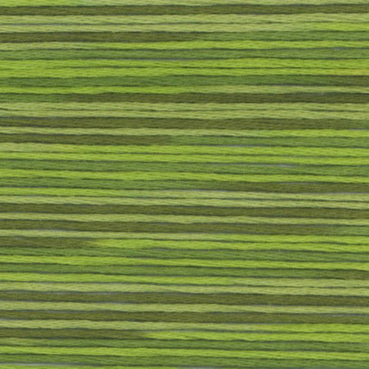 5014 Cosmo Seasons Variegated Cotton Embroidery Floss