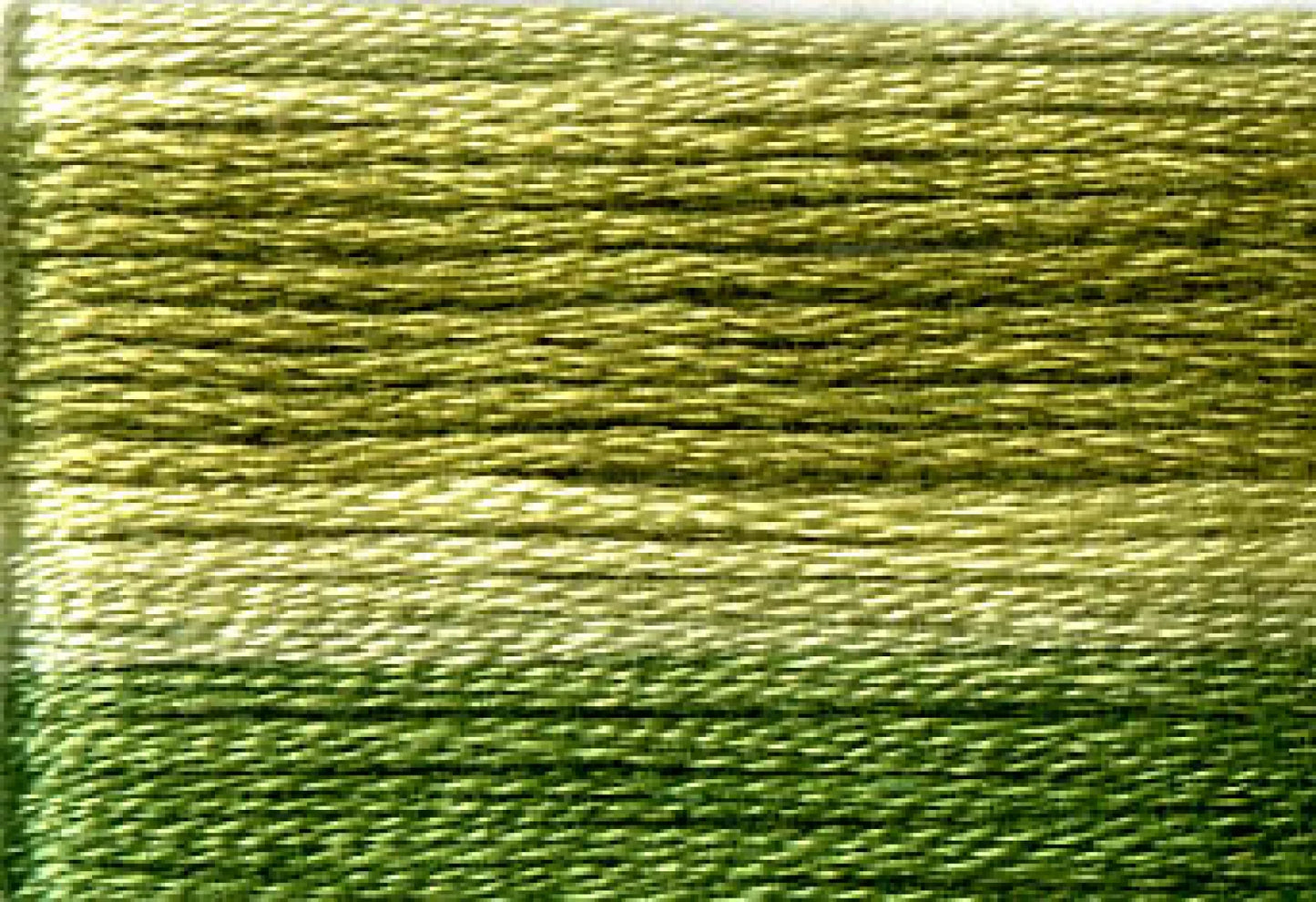 8016 Cosmo Seasons Variegated Cotton Embroidery Dark Greens