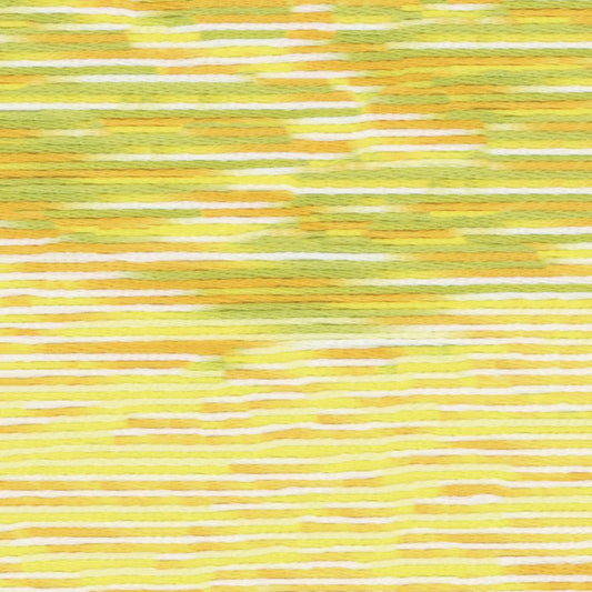 9004 Cosmo Seasons Variegated Cotton Embroidery Floss