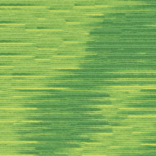 9005 Cosmo Seasons Variegated Cotton Embroidery Floss