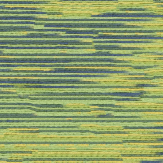 9006 Cosmo Seasons Variegated Cotton Embroidery Floss