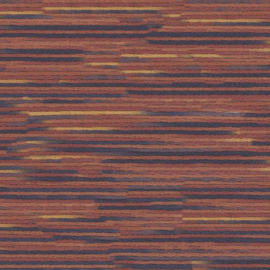 9013 Cosmo Seasons Variegated Cotton Embroidery Floss