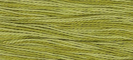 Pearl Cotton #5 Weeks Dye Works - Guacamole (1193)