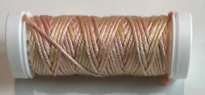 0309 - Longan - Soie d’Alger Painter's Threads