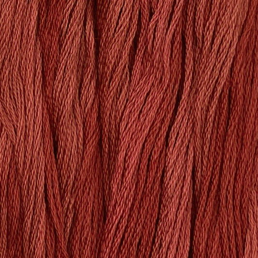 Colour and Cotton Thread - Winterberry