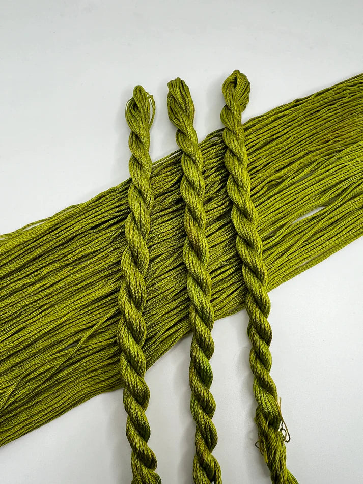 Cactus - Pirate + Robin Floss