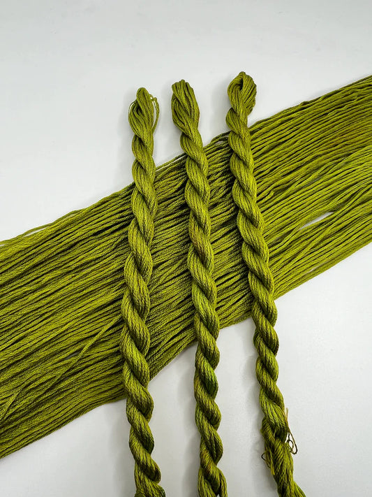 Cactus - Pirate + Robin Floss