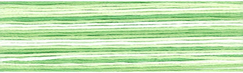 8013 Cosmo Seasons Variegated Cotton Embroidery Floss