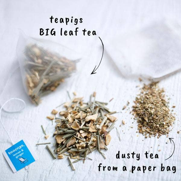 Lemon & Ginger Tea - 15 Temples - Teapigs