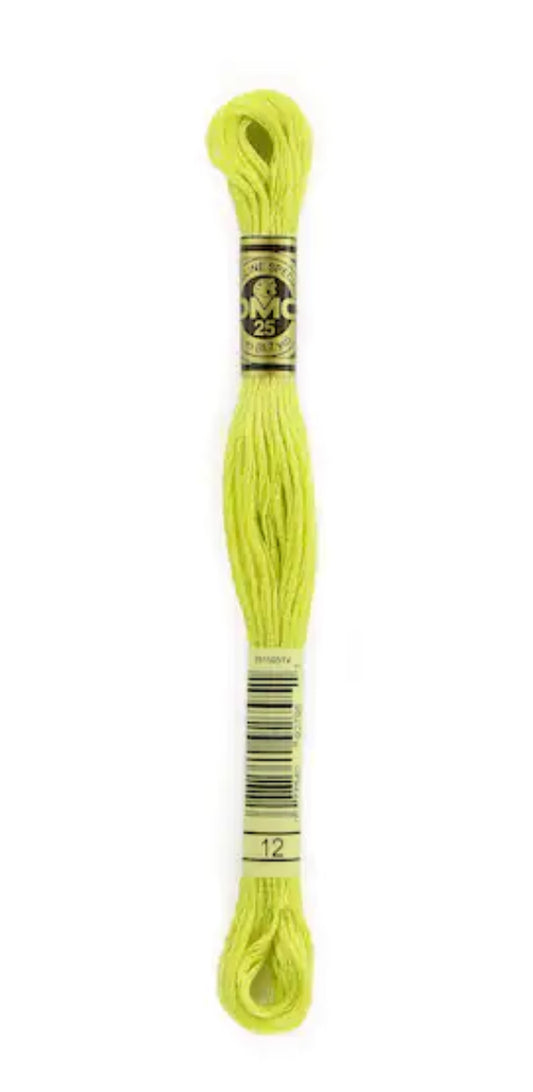 #12 DMC Cotton Embroidery Floss