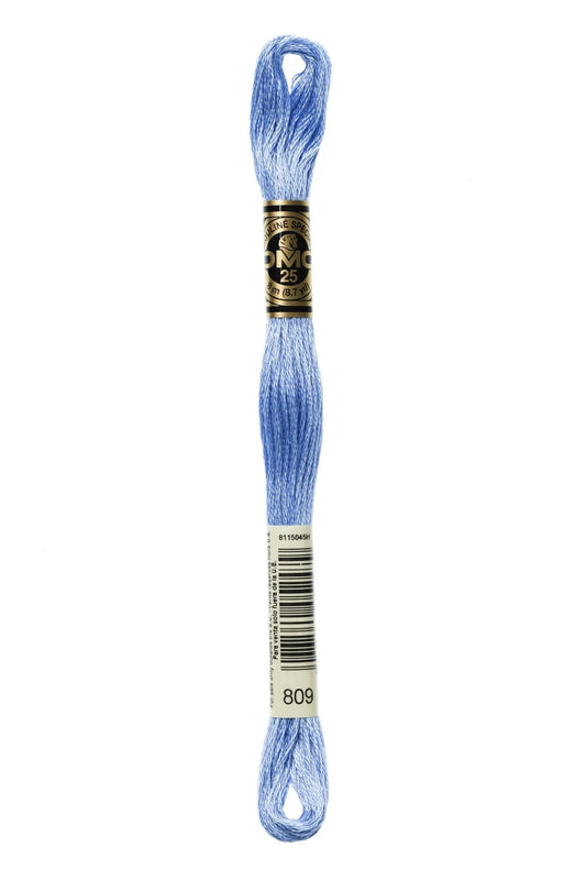 #809 DMC Cotton Embroidery Floss