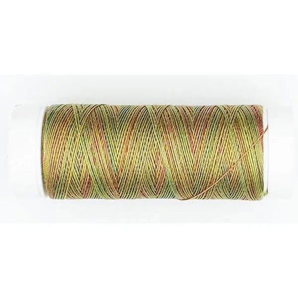 P101 - Macke - Au Ver a Soie - 100/3 Soie Silk Painter's Threads