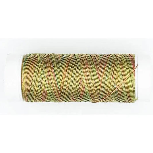 P101 - Macke - Au Ver a Soie - 100/3 Soie Silk Painter's Threads