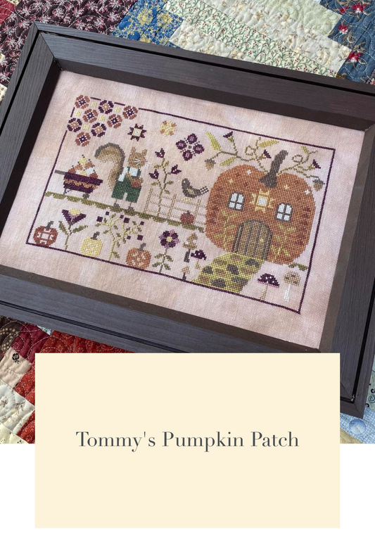 Tommy's Pumpkin Patch - Blueberry Ridge