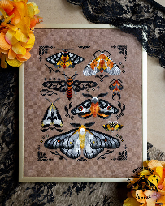 Ochre Wings - Sprouting Lupine - 2026 Needlework Marketplace PREORDER