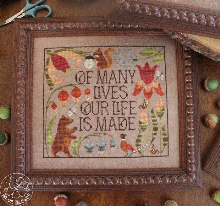 Of Many Lives - The Blue Flower