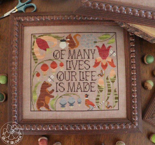 Of Many Lives - The Blue Flower