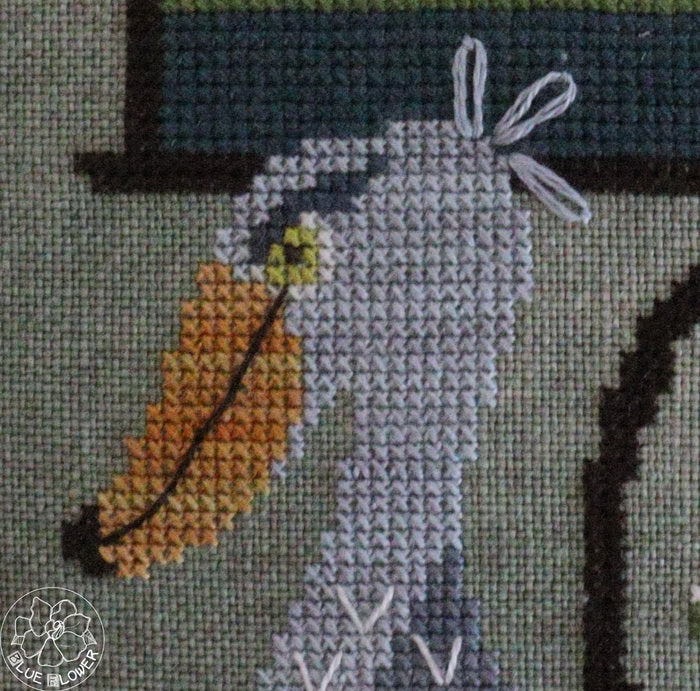 Spooky Shoebill - The Blue Flower